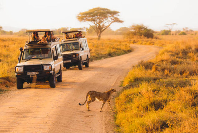 9 Day Expedition Through Tanzania's Northern Circuit