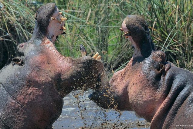 10 Day Unforgettable Tanzania Budget Camping Safari and Cultural Tour