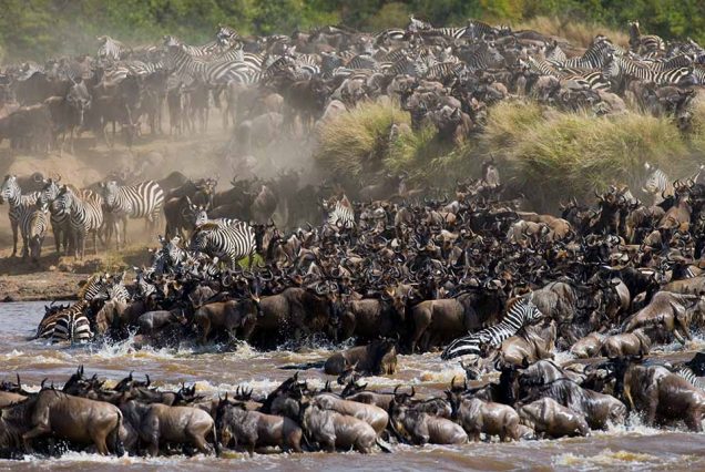 9 Day Private Camping Experience in the Captivating Western Serengeti