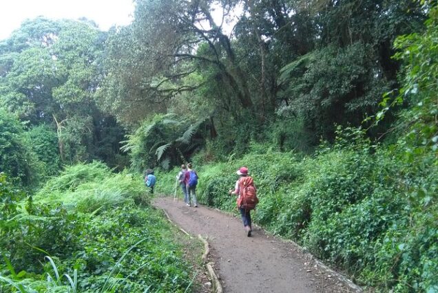 Rau Forest Nature Walk