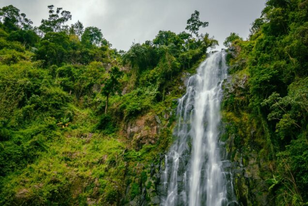 Materuni Waterfalls & Coffee Tour